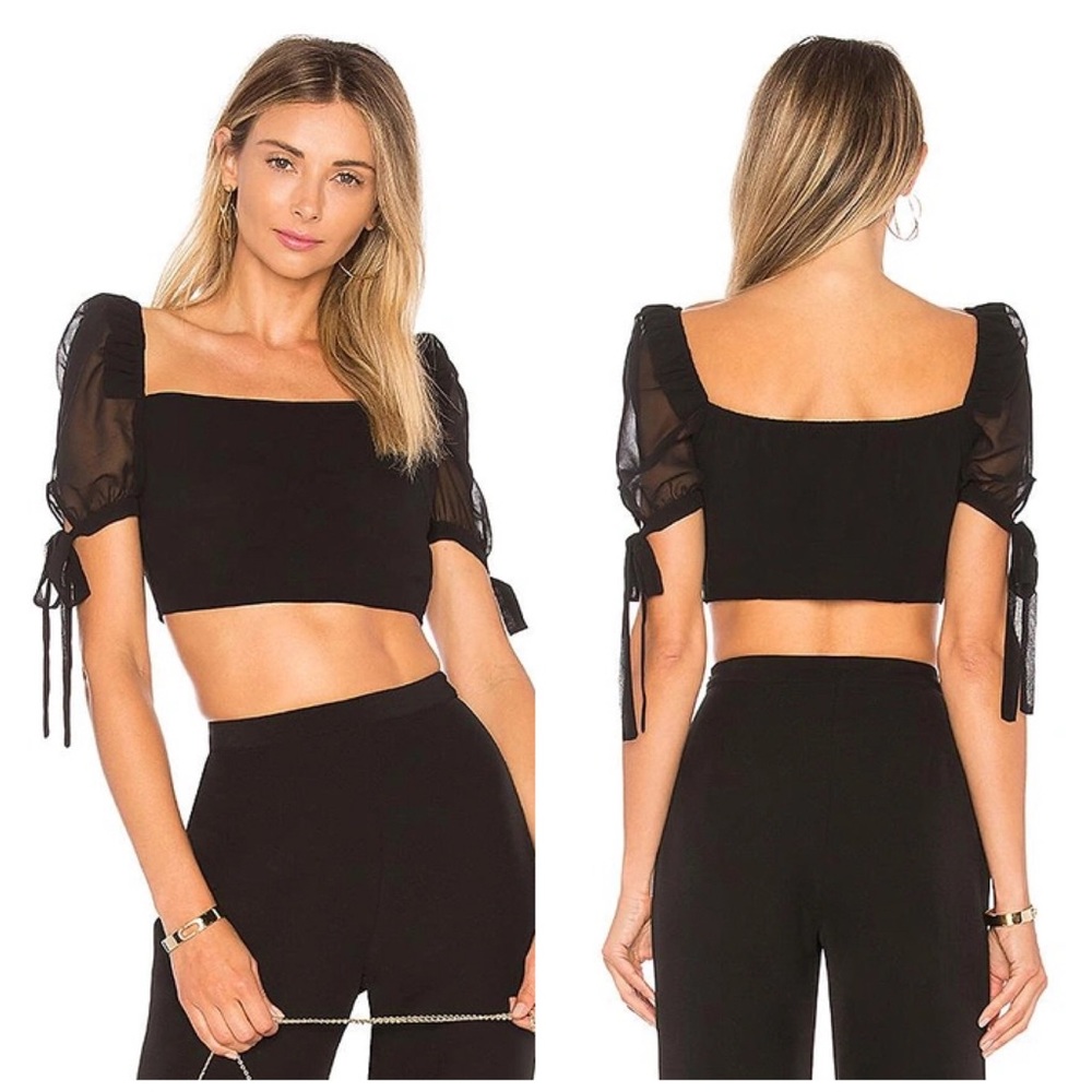 PRIVACY PLEASE Black Mesa Sheer Tie Sleeve Crop Top